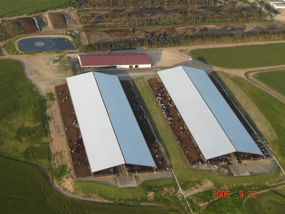 South Africa Dairy Farm