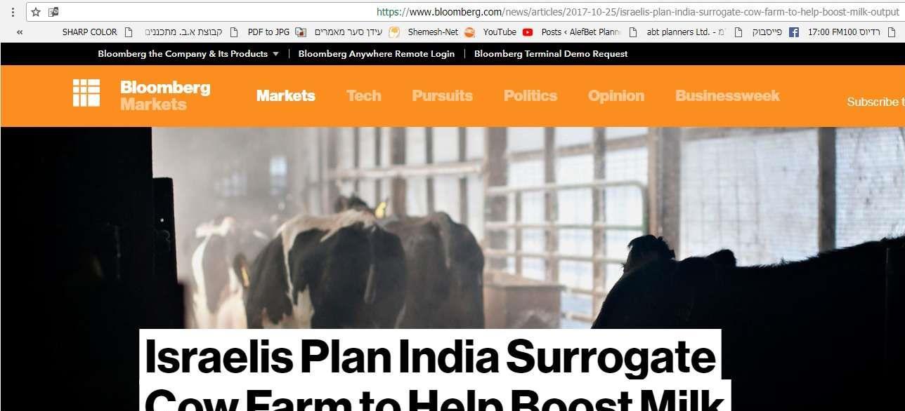 Israelis Plan India Surrogate Cow Farm to Help Boost Milk Output
