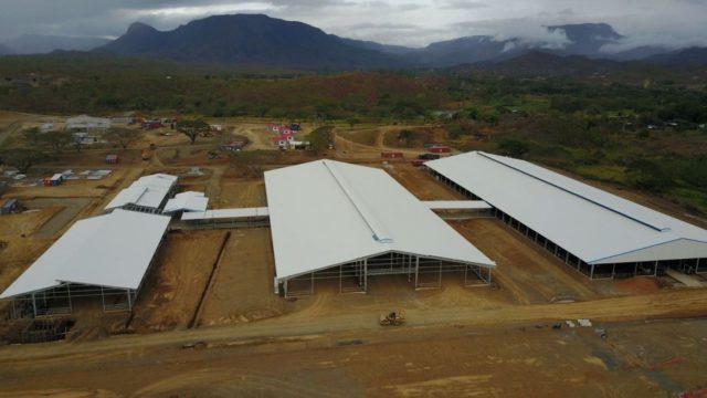 The first dairy farm in Papua